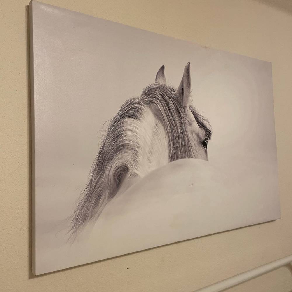 Z Gallerie Blanco Mare Horse

 48" x 32
